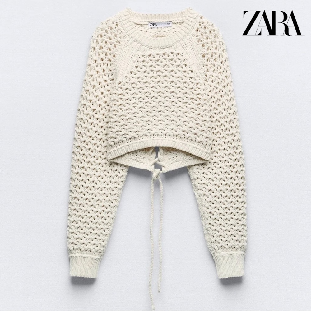 Zara Cut-Out Cropped Crochet Knit Top